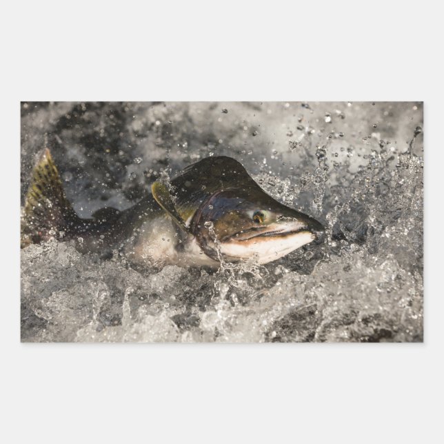 Jumping Salmon Rectangular Sticker (Front)