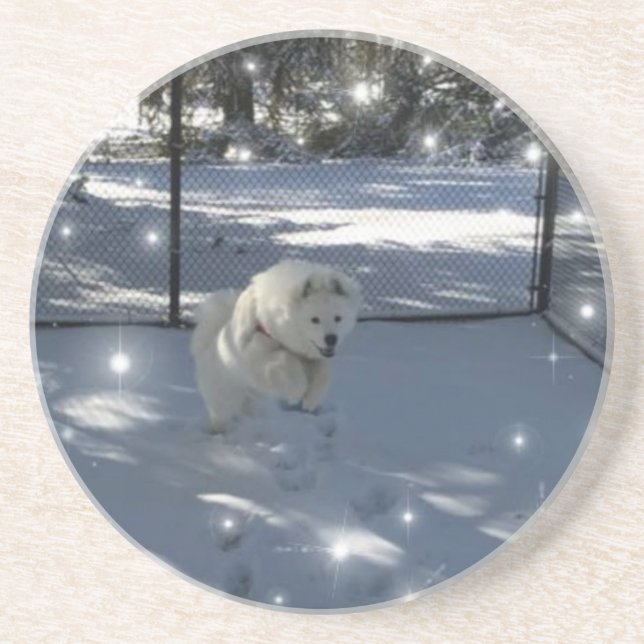 Jumping Samoyed in snow coaster (Front)