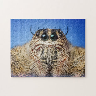 Jumping spider jigsaw puzzle