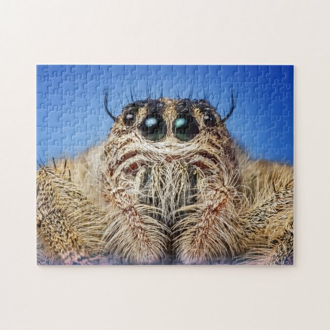 Jumping spider jigsaw puzzle (Horizontal)