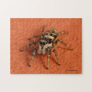 Jumping Spider Jigsaw Puzzle