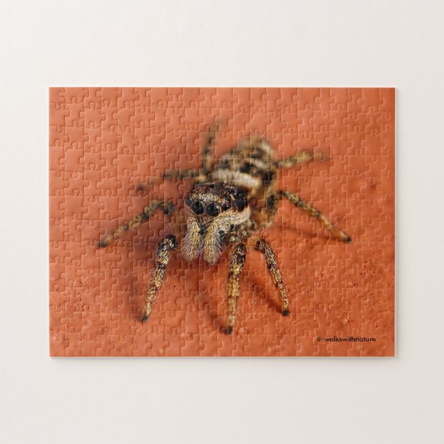 Jumping Spider Jigsaw Puzzle (Horizontal)