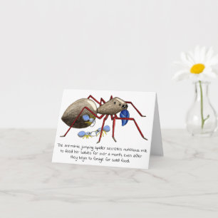 Jumping Spider Mother's Day Card