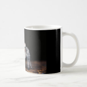 Jumping Spider Mug