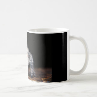 Jumping Spider Mug