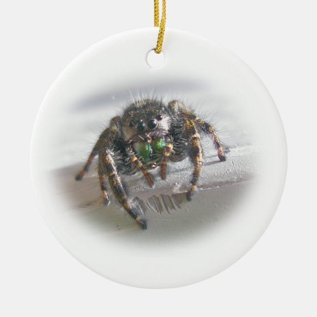 Jumping Spider Phiddipus audax Christmas Ornament (Front)