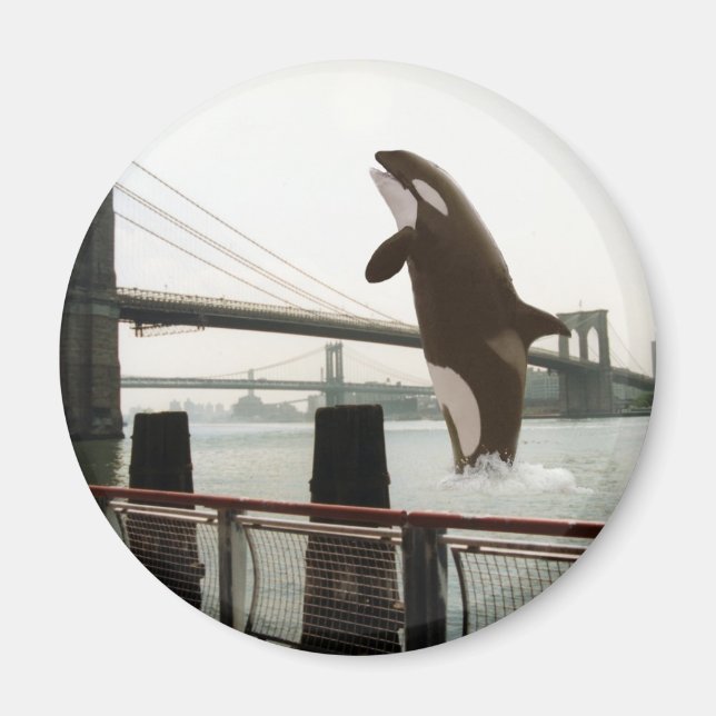 Jumping the Brooklyn Bridge Magnet (Front)