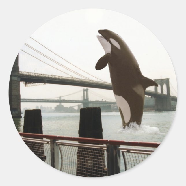 Jumping the Brooklyn Bridge Sticker (Front)