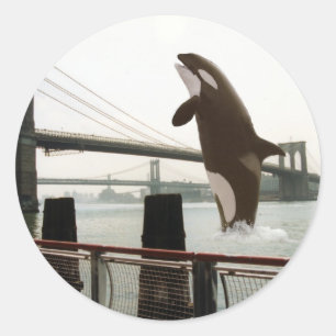 Jumping the Brooklyn Bridge Sticker