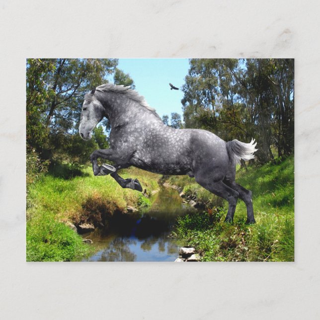 "Jumping The Creek" Postcard (Front)