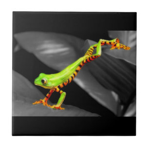 Jumping Tree Frog Ceramic Tile