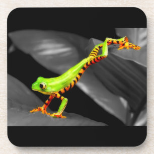 Jumping Tree Frog Coaster