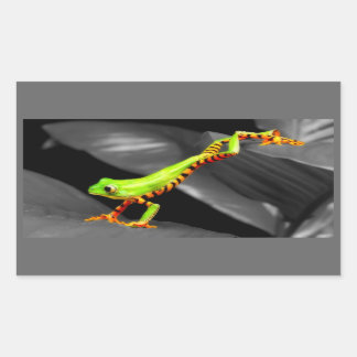 Jumping Tree Frog Rectangular Sticker
