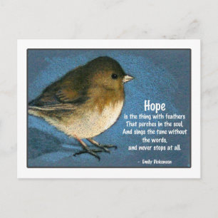 JUNCO BIRD WITH SAYING POSTCARD