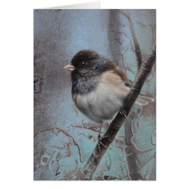 Junco Blank Card by Andrew Denman (Front)
