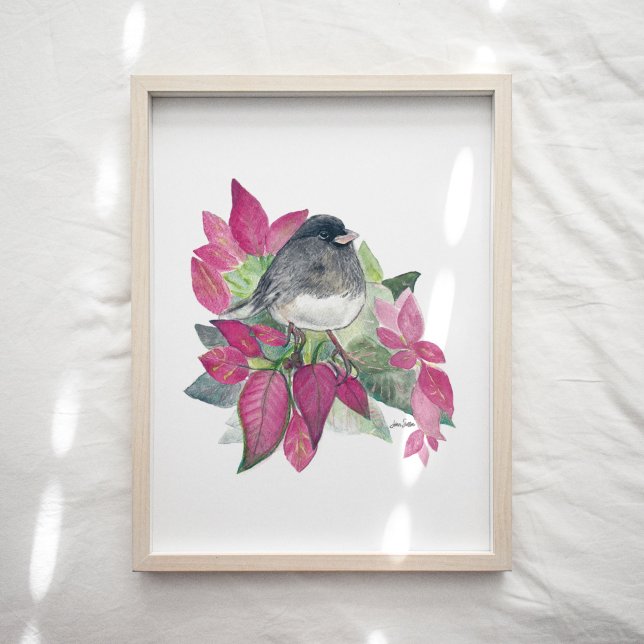 Junco Dark Eyed Bird Watercolor Art Print (Junco Dark Eyed Bird Watercolor Art Print from Jenn's Emporium.)