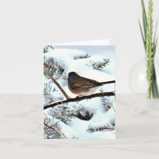 Junco in Snow, 4" x 5.6" Folded Blank Card