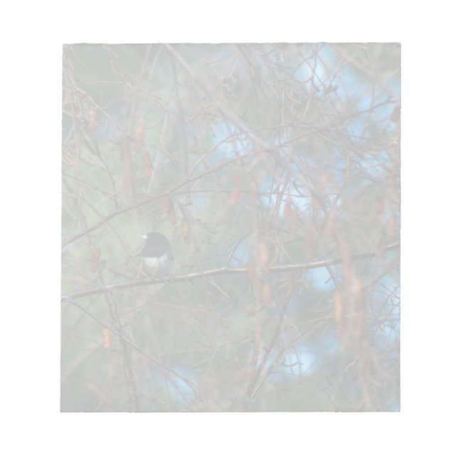 Junco Notepad (Front)