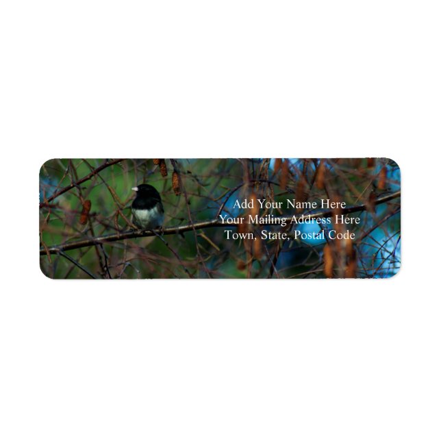 Junco Return Address Label (Front)