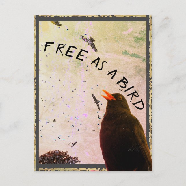 Junction Card No 16: Free as a Bird (Front)
