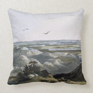 Junction of the Yellow Stone River with the Missou Cushion