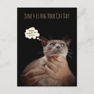 June 4 is Hug your Cat Day Postcard
