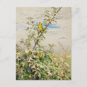 June   Fidelia Bridges Postcard