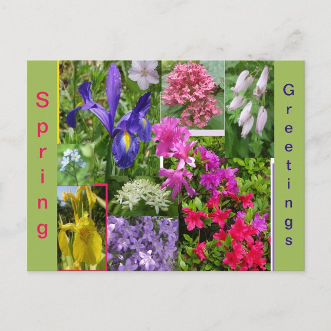 June Flowers Collage Cust. Postcard (Front)