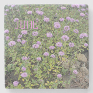 June Mint Stone Coaster