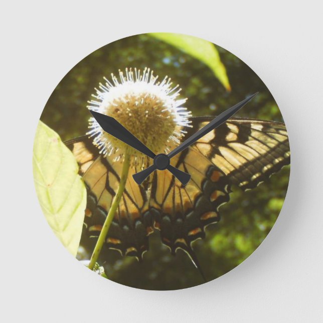 June Monarch  Flower Clock (Front)