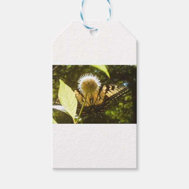 June Monarch Flower Gift Tag (Front)