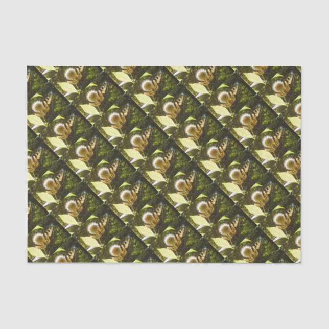 June Monarch Flower Tissue Paper (Front)