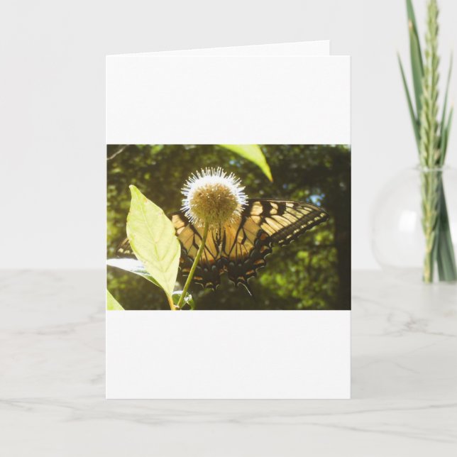 June Monarch Greeting Card (Front)