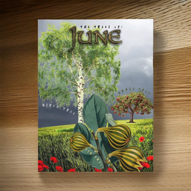 June Month Trees Fig Apple Birch Postcard (Creator Uploaded)