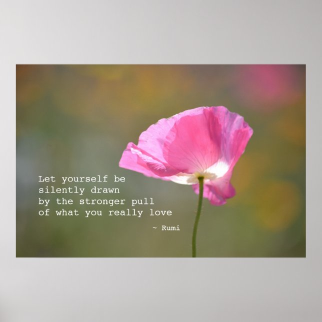 June Poppy Poster (Front)