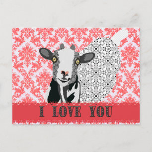 Junebug Love Damask Postcard