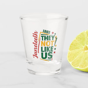 Juneteenth They Not Like Us 1865 Black History Shot Glass