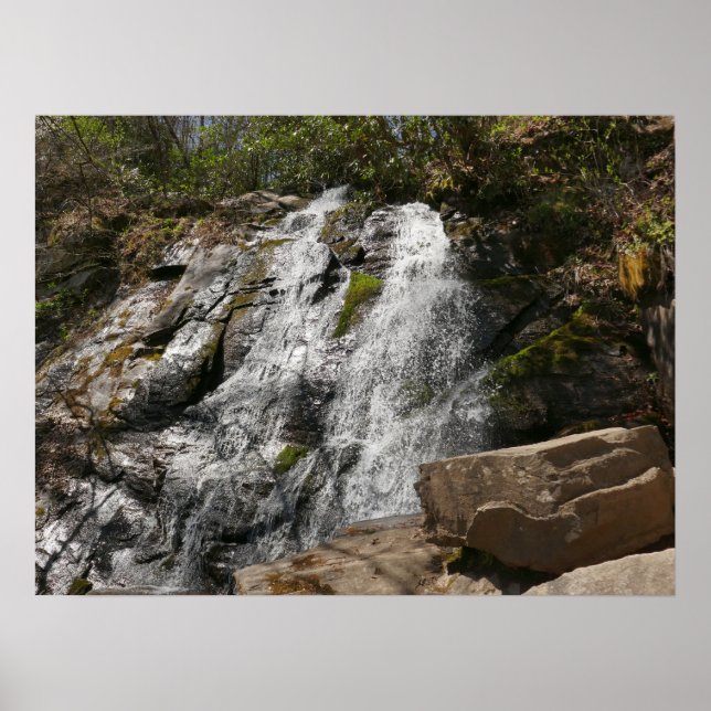 Juney Whank Falls at Smoky Mountains Poster (Front)
