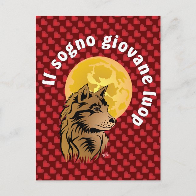 junger träumender Wolf Postkarte Postcard (Front)