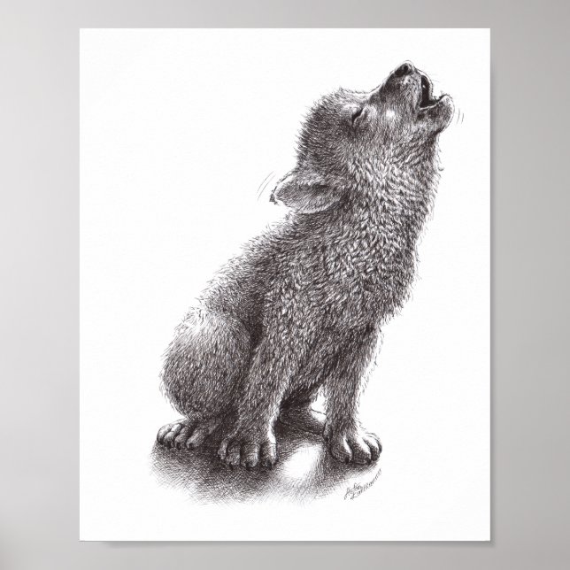 Junger Wolf heult den Mond an. Poster (Front)