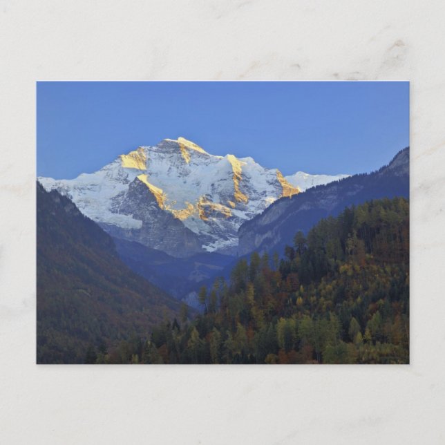 Jungfrau range from Interlaken Postcard (Front)