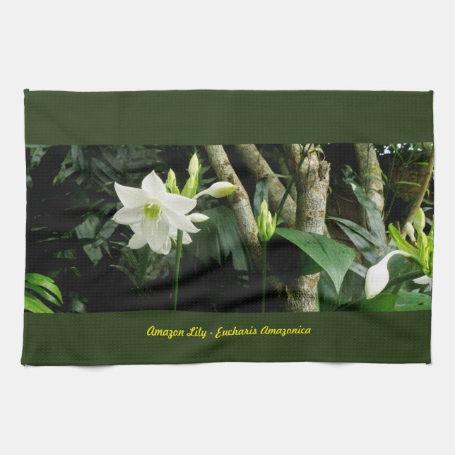 Jungle Amazon Lily - Eucharis Amazonica Tea Towel (Horizontal)
