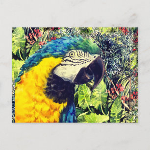 Jungle and a blue yellow macaw holiday postcard