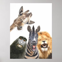 Jungle animal friends funny portrait