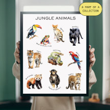 Jungle Animals Educational Poster