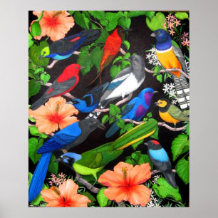 Jungle Birds of Mexico Poster