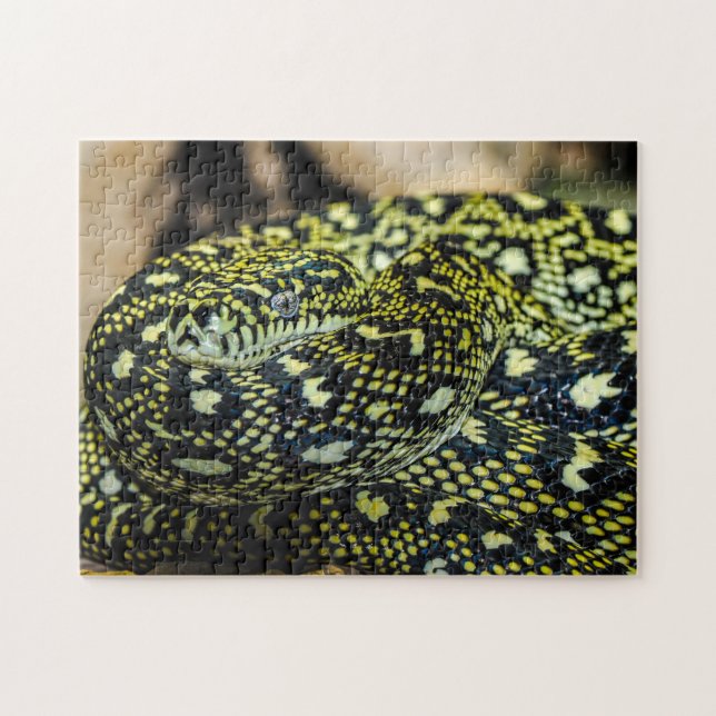 Jungle Carpet Python Snake Jigsaw Puzzle (Horizontal)