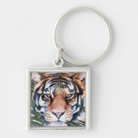 Jungle Cat - Tiger