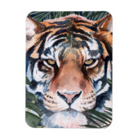 Jungle Cat - Tiger