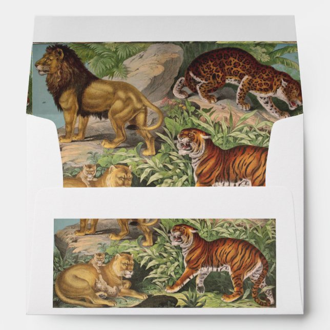 Jungle cats Lion Tiger Leopard Vintage nature Envelope (Back (Bottom))